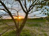 Sonnenuntergang am Grundstück - Grundstück in Miedzywodzie