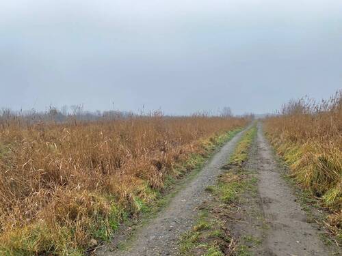 Straße am Grundstück - 