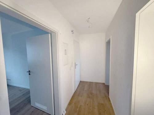 IMG-20241206-WA0010 - 