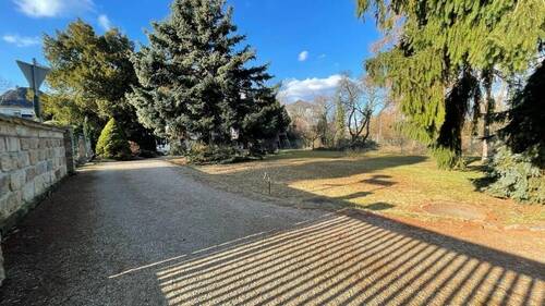 Parkgrundstück - 