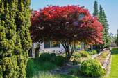 Garten (2) - 