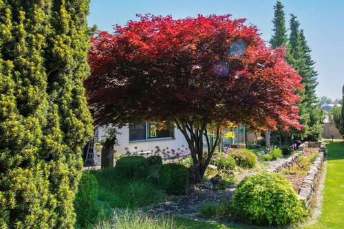 Garten (2) - 
