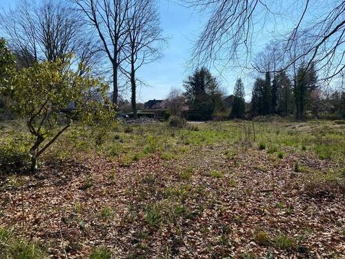 Grundstück - Grundstück in Adendorf zum Kaufen