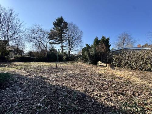 Blick Garten - Neubebauung mit Doppelhaus oder Altbestand sanieren?