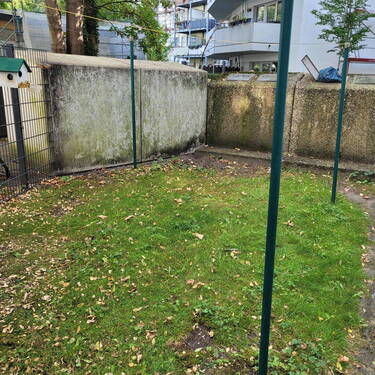 Müllcontainer hinter dem Haus - 