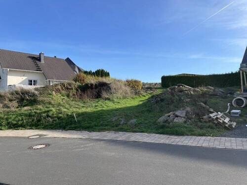 Vorderansicht - Grundstück in Romrod zum Kaufen