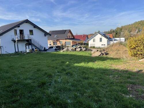 Blick über das Grundstück - 