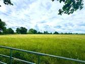 Freier Blick - Stille, Weite, Natur, Ruhe - 