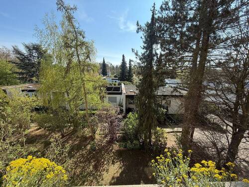Ausblick vom Balkon - 