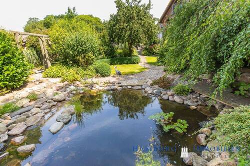 Teich - 
