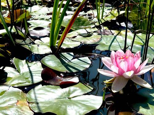 tempImagemZbhg8.jpg - 