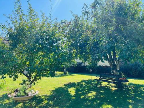 tempImageUNhgwh.jpg - 