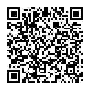 QR-Code - 