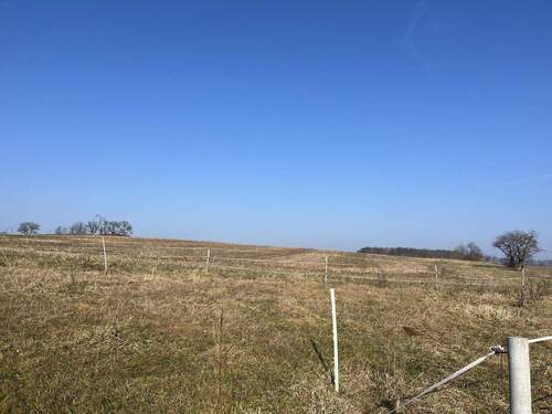 Grundstücksfläche - 