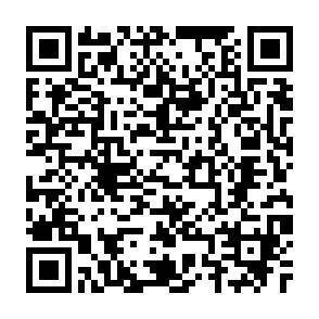 QR-Code - 