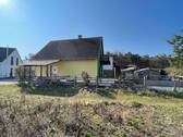 IMG_8435.jpeg - 