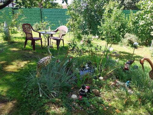 20230811_140731.jpg - 