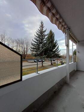 20251219_113103.jpg - 