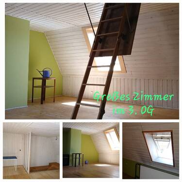 Zimmer DG - 