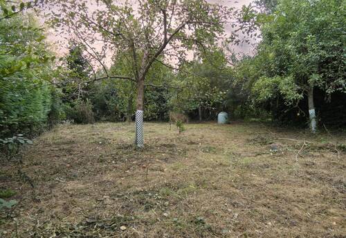 Baugrundstück mit Altbestand - Sie haben die Ideen, wir haben das Grundstück. EFH, ZFH oder MFH durchaus denkbar.