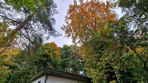 Bild 3 - 5 Zimmer Bungalow in Waischenfeld