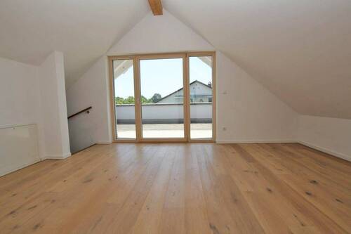 Zimmer DG - 
