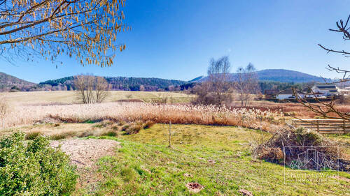Feldrandlage - 