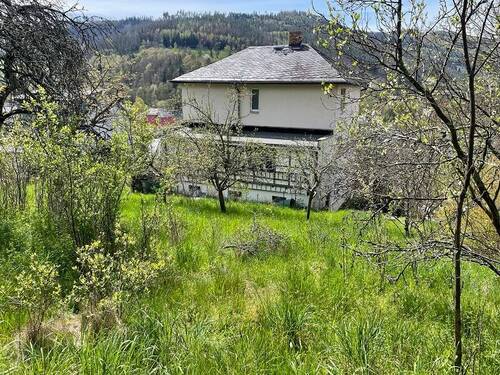 Rückansicht - 6 Zimmer Mehrfamilienhaus, Wohnhaus zum Kaufen in Probstzella