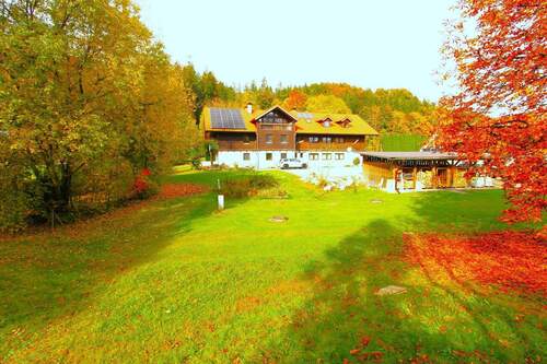 ... Gemeinschaftsgarten - 