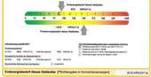Ausschnitt Energieausweis - 