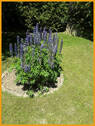 Rabatten - 