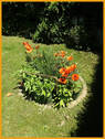Rabetten2 - 