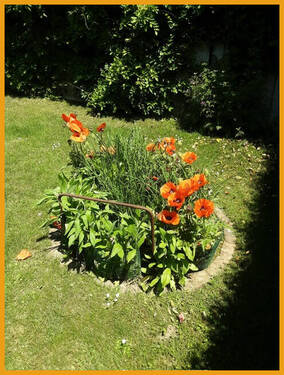 Rabetten2 - 