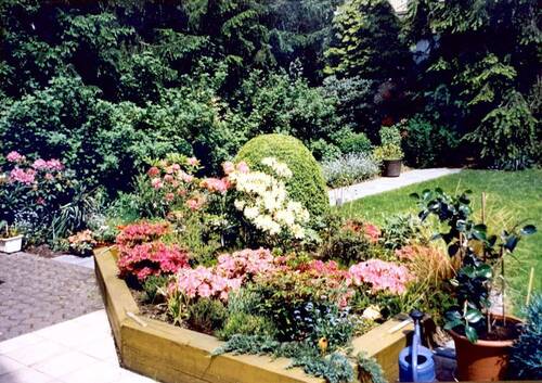 Garten - 