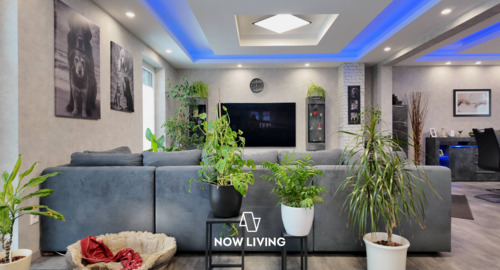 Wohnzimmer - 3 Zimmer Einfamilienhaus zum Kaufen in Wietze