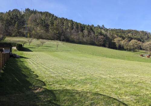 Blick auf das Grundstück aus Süden - Bautägerfreies, sonniges Baugrundstück