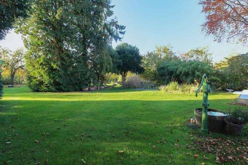 Blick in den Garten (2) - 