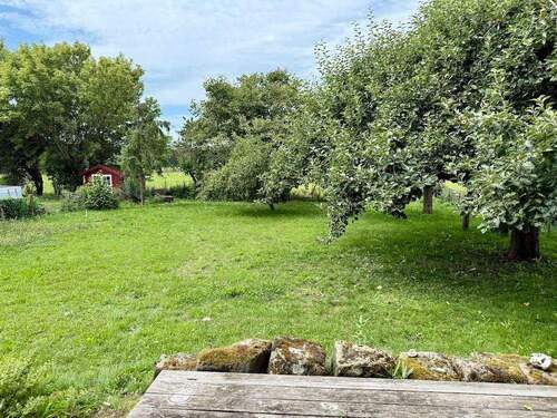 Blick von der Terrasse in den Garten - 