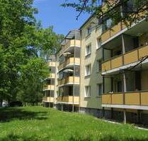 Im Grünen gelegene 3-Raum-Wohnung mit Balkon - Chemnitz Altchemnitz