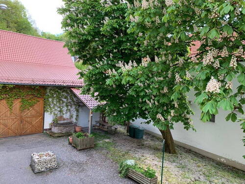 Bild 26 - 