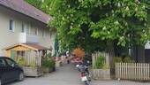 Bild 2 - 2 Zimmer Hotel, Pension, Gasthof zum Kaufen in Altdorf