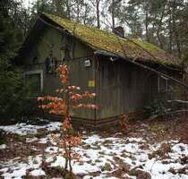 WOCHENENDHAUS MIT NEBENGEBÄUDE (STARK SANIERUNGSBEDÜRFTIG) IN IDYLLISCHER WALDLAGE - Tostedt Todtglüsingen