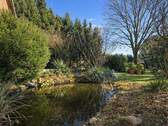 Gartenteich - 