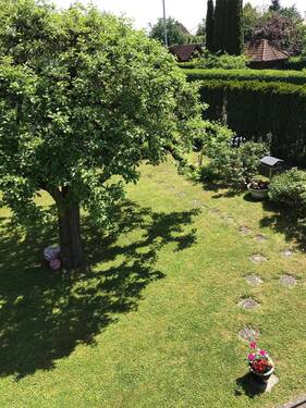 PHOTO-2025-08-20-08-17-49.jpg - 