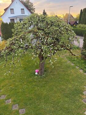 Großer Abstand zum Nachbarn mit Garten - 