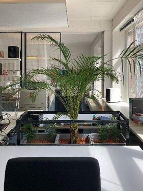 Bild 18 - 