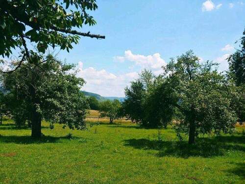 Grundstück - 4 Zimmer Einfamilienhaus in Schweich