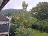 Blick ins Grüne - Tolle Wohnung - gute Lage - großer Balkon und viel Natur !
