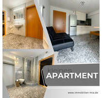 Gepflegtes Apartment in Künzelsau zu vermieten