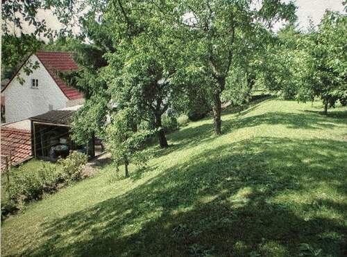 Gartenimpressionen - 